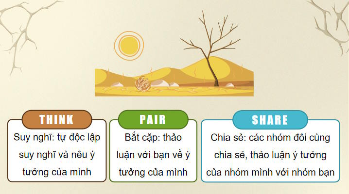 Giáo án Địa lí 9 Bài 14: Thực hành Phân tích ảnh hưởng của nạn hạn hán và sa mạc hoá ở vùng khô hạn Ninh Thuận Bình Thuận
