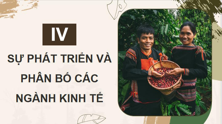 Giáo án Địa lí 9 Bài 15: Vùng Tây Nguyên