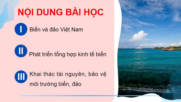 Giáo án Địa lí 9 Bài 20: Phát triển tổng hợp kinh tế và bảo vệ tài nguyên môi trường biển đảo