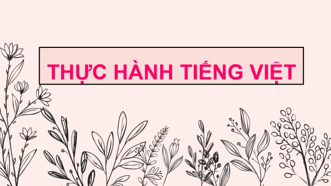 PowerPoint Ngữ văn 6 Bài 7: Thực hành tiếng Việt