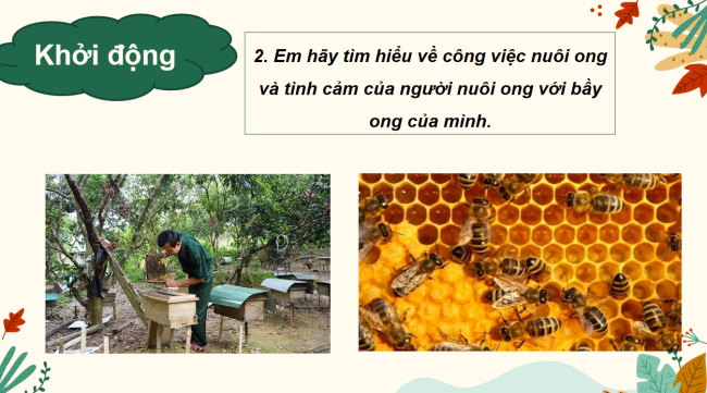 PowerPoint Ngữ văn 6 Bài 7: Gấu con chân vòng kiềng