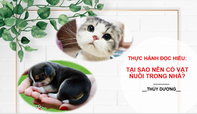 PowerPoint Ngữ văn 6 Bài 8: Tại sao nên có vật nuôi trong nhà?