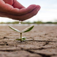 PowerPoint Ngữ văn 6 Bài 8: Khan hiếm nước ngọt