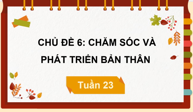 PowerPoint Hoạt động trải nghiệm 3 Tuần 23