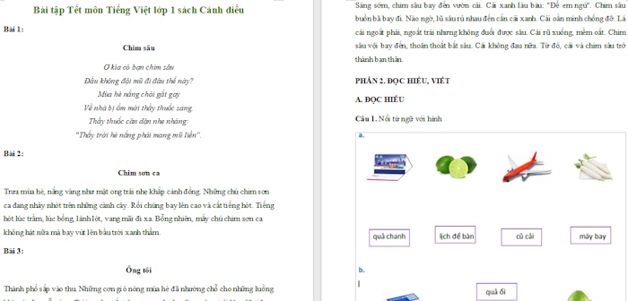 Bài tập Tết Tiếng Việt lớp 1 sách Cánh Diều