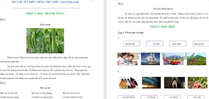 Bài tập Tết Tiếng Việt lớp 1 sách Chân trời sáng tạo