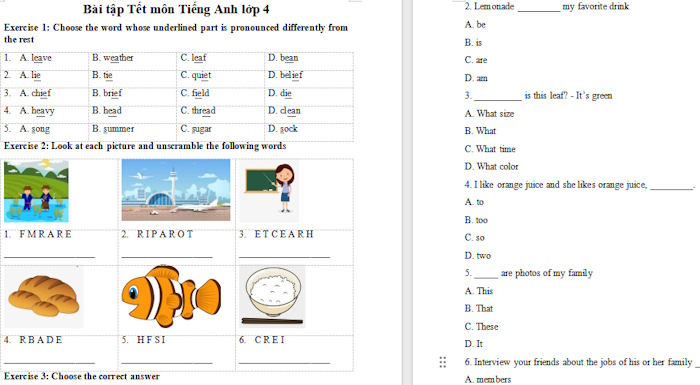 Bài tập Tết môn Tiếng Anh lớp 4
