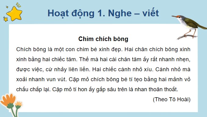 tieng viet 3 bai 5 nghe viet chim chich bong 8*525575