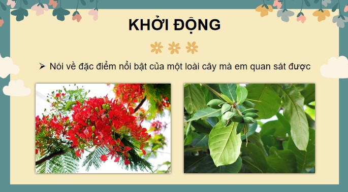 tieng viet 3 bai 6 cay gao 6*525590