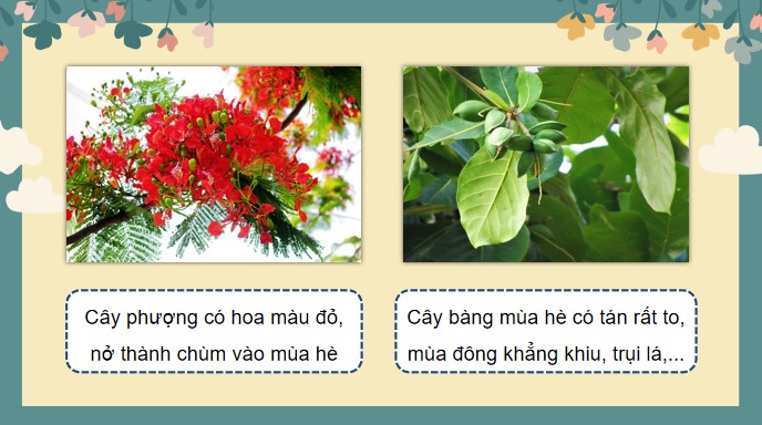 tieng viet 3 bai 6 cay gao 7*525592