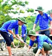 Giáo án Sinh hoạt lớp 12 chủ đề Thực hiện kế hoạch tài chính trong cuộc sống tuần 16