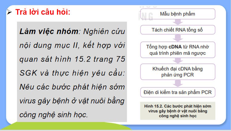 Giáo án PowerPoint Công nghệ 11 Bài 15