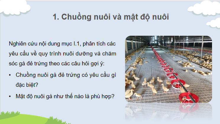 Giáo án PowerPoint Công nghệ 11 Bài 17