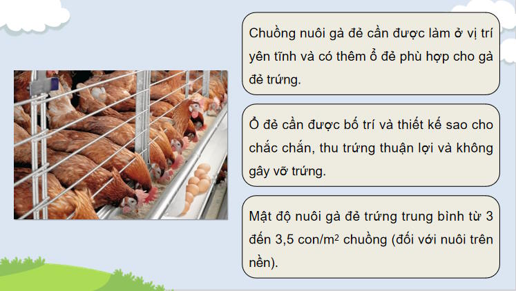 Giáo án PowerPoint Công nghệ 11 Bài 17