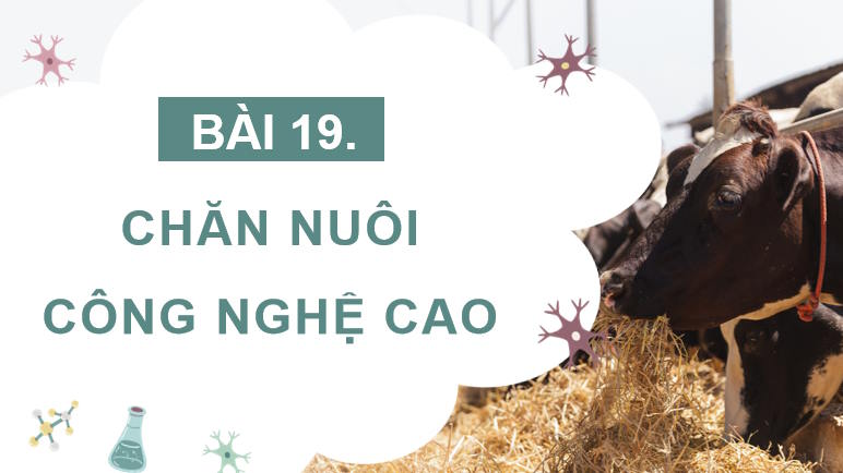 Giáo án PowerPoint Công nghệ 11 Bài 19