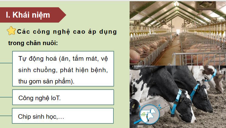 Giáo án PowerPoint Công nghệ 11 Bài 19