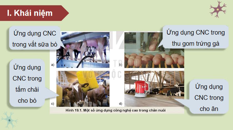 Giáo án PowerPoint Công nghệ 11 Bài 19