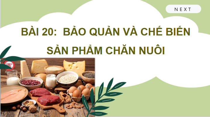 Giáo án PowerPoint Công nghệ 11 Bài 20