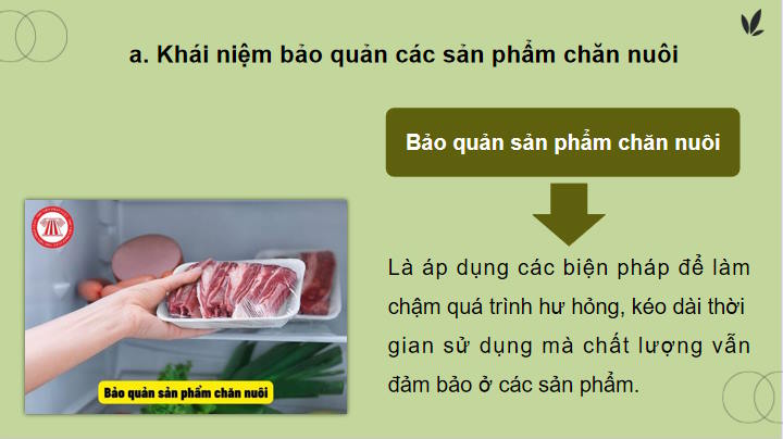 Giáo án PowerPoint Công nghệ 11 Bài 20