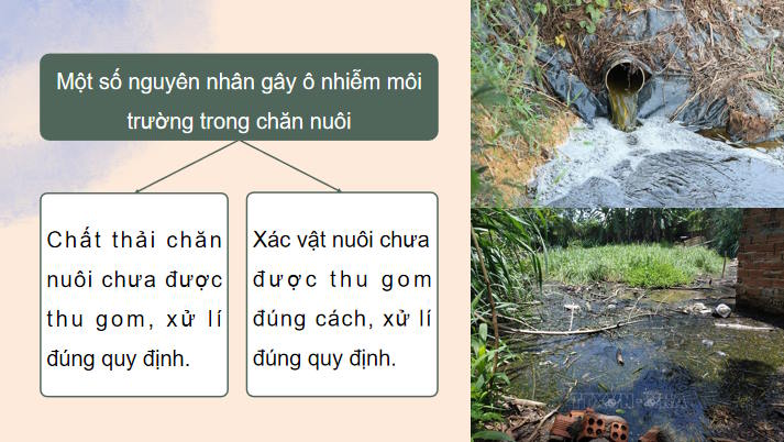 Giáo án PowerPoint Công nghệ 11 Bài 21