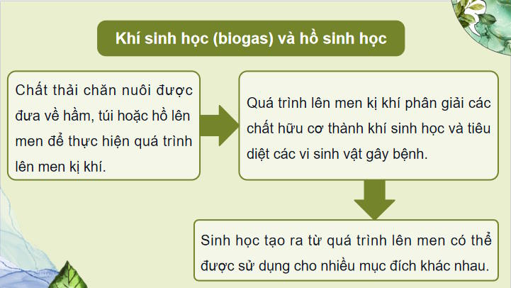 Giáo án PowerPoint Công nghệ 11 Bài 22