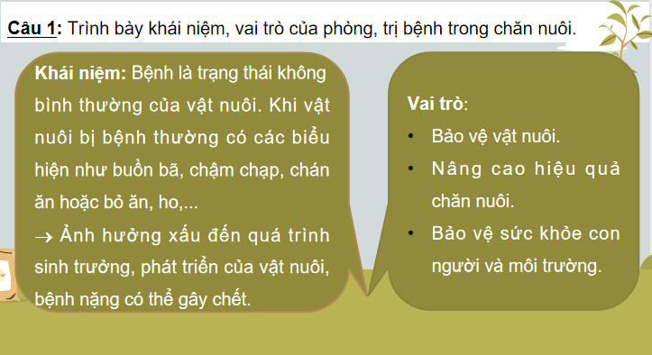 Giáo án Công nghệ Chăn nuôi 11 Ôn tập chương 4