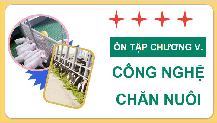 Giáo án Công nghệ Chăn nuôi 11 Ôn tập chương 5