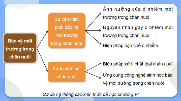 Giáo án Công nghệ Chăn nuôi 11 Ôn tập chương 6