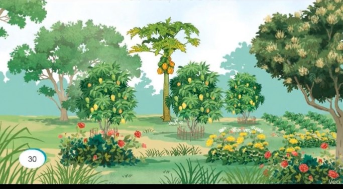 tieng viet 3 bai 6 viet lai tinh cam cam xuc 4*526072