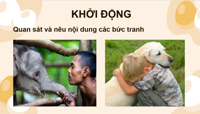 PowerPoint Tiếng Việt 4 Bài 8: Đọc mở rộng