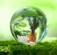 Giáo án Sinh hoạt lớp 12 chủ đề Bảo vệ cảnh quan thiên nhiên, thế giới động vật và thực vật tuần 33