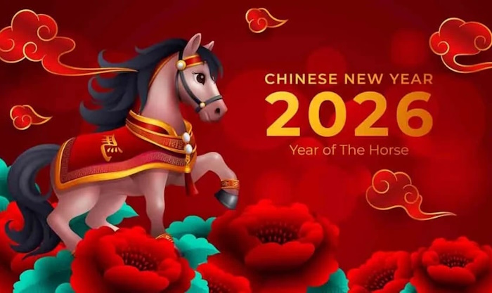 Hình nền ngựa duyên dáng, ấn tượng