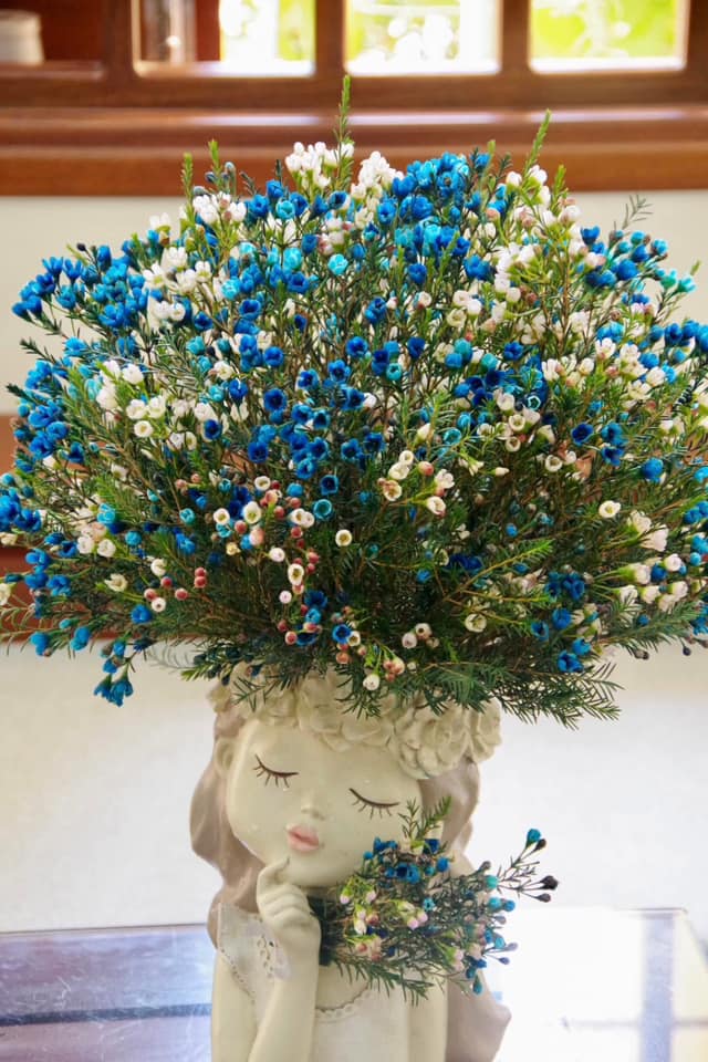 Cắm hoa thanh liễu trên bình hoa cô gái