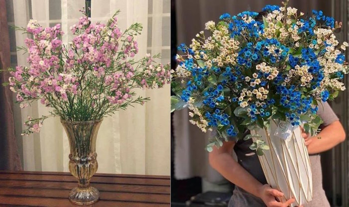 Cắm hoa thanh liễu trong bình cổ cao