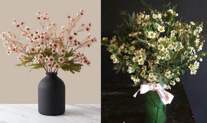 Cắm hoa thanh liễu đơn sắc bình tối màu