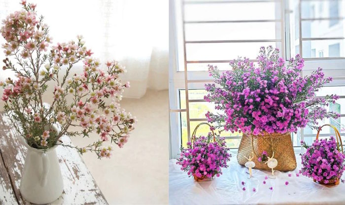 Cắm hoa thanh liễu