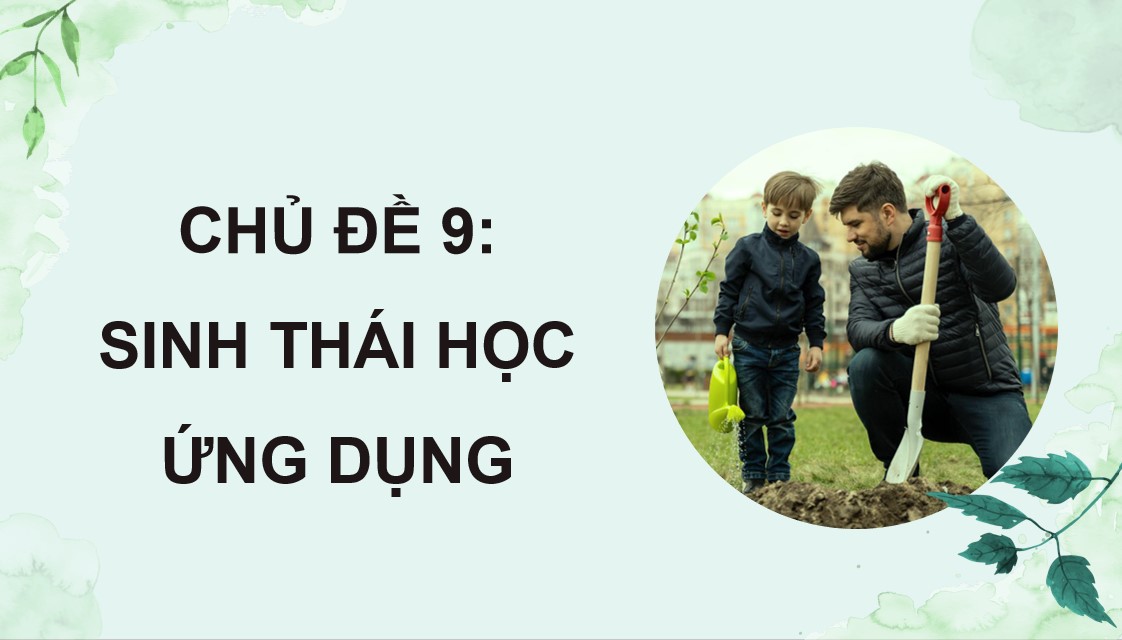 sinh 12 b25 2*527533