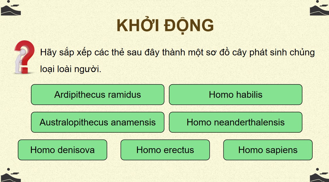 sinh 12 cd on tap p6 1*527556