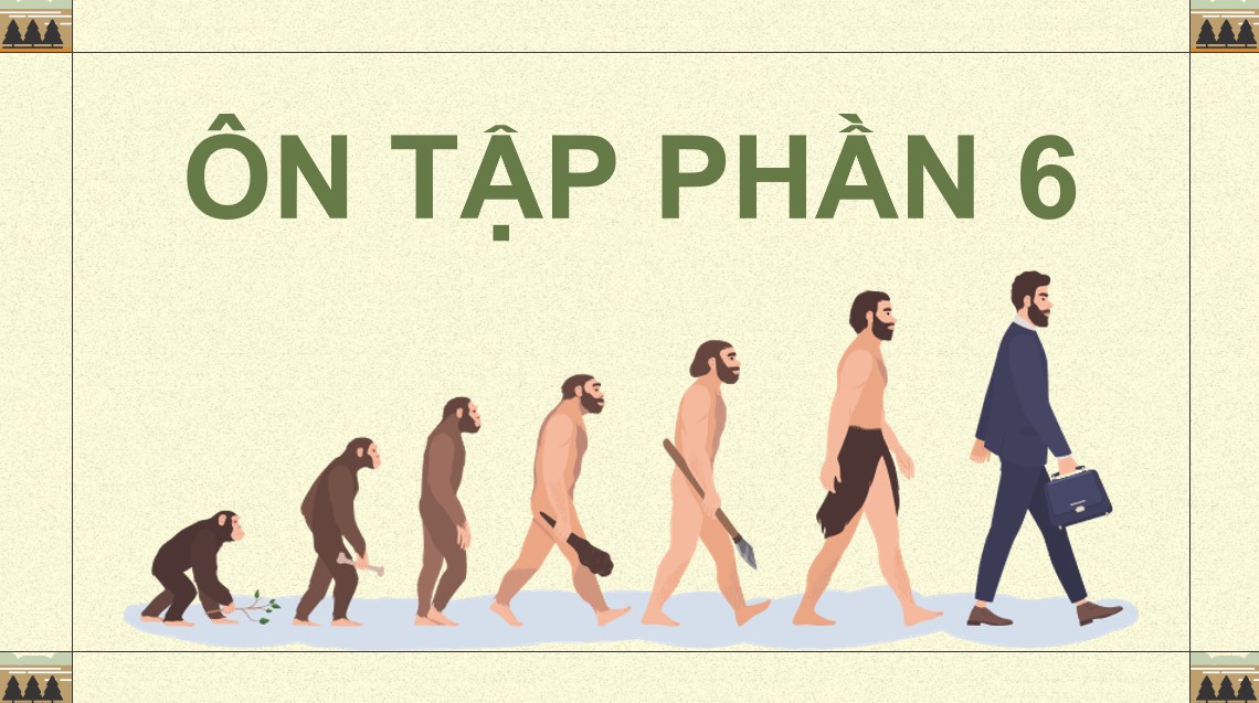 sinh 12 cd on tap p6 2*527557