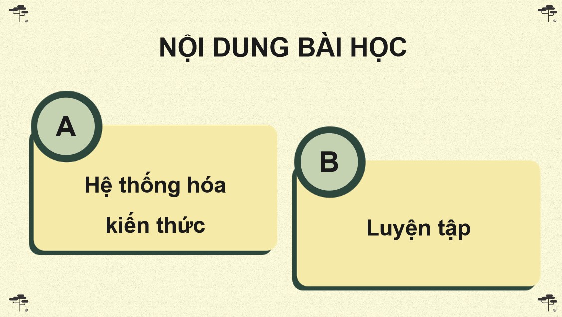 sinh 12 cd on tap p6 3*527558