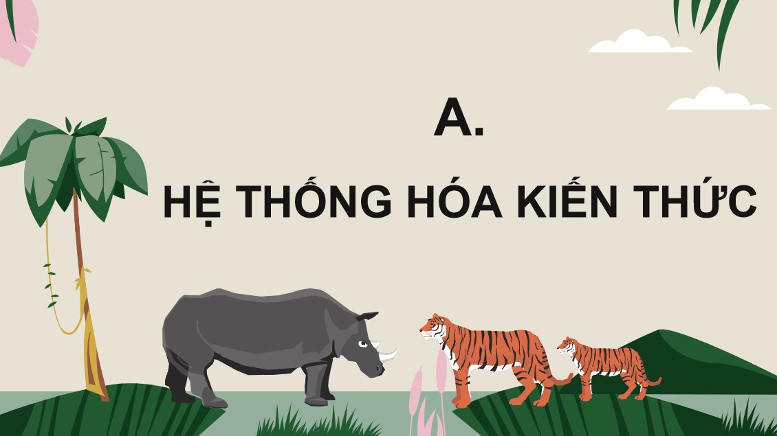 sinh 12 cd on tap p7 3*527566