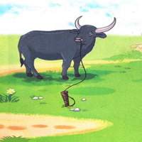 PowerPoint Tiếng Việt 2 Bài 20: Con trâu đen lông mượt