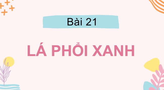 PowerPoint Tiếng Việt 2 Bài 21: Tiếng vườn