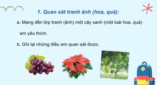 PowerPoint Tiếng Việt 2 Bài 21: Quan sát tranh ảnh cây, hoa, quả