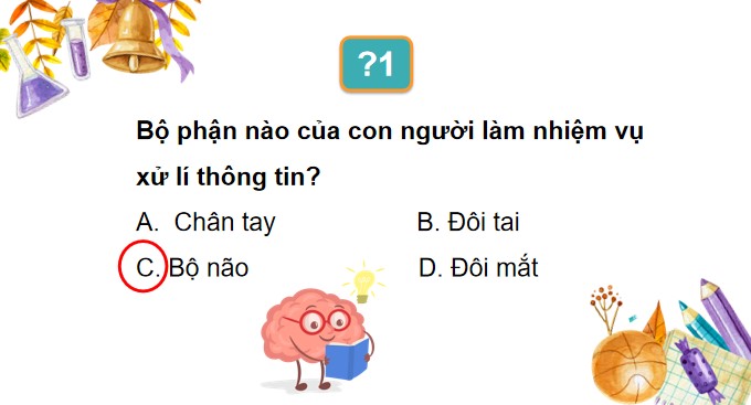 Tin hoc 3 KNTT bai 2 6*528381