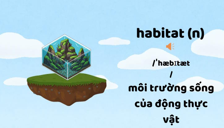 Giáo án Tiếng Anh 9 Unit 10: Getting Started