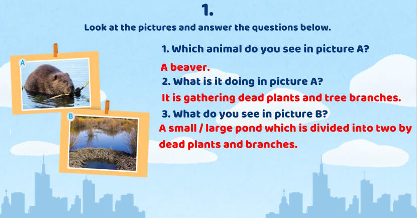 Giáo án Tiếng Anh 9 Unit 10: Skills 2