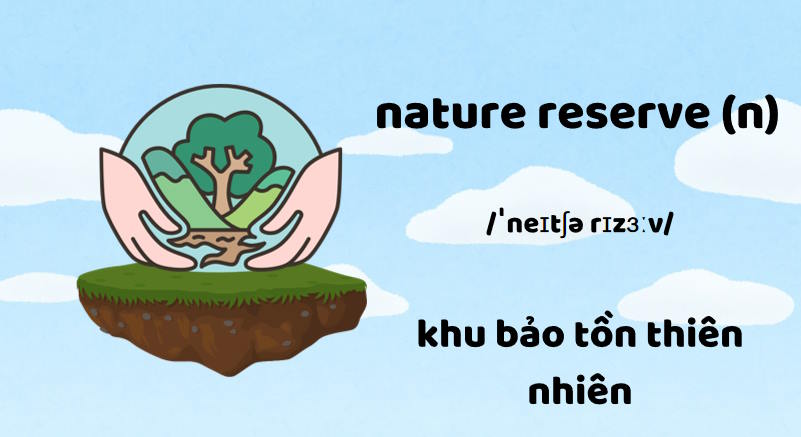 Giáo án Tiếng Anh 9 Unit 10: A Closer Look 1