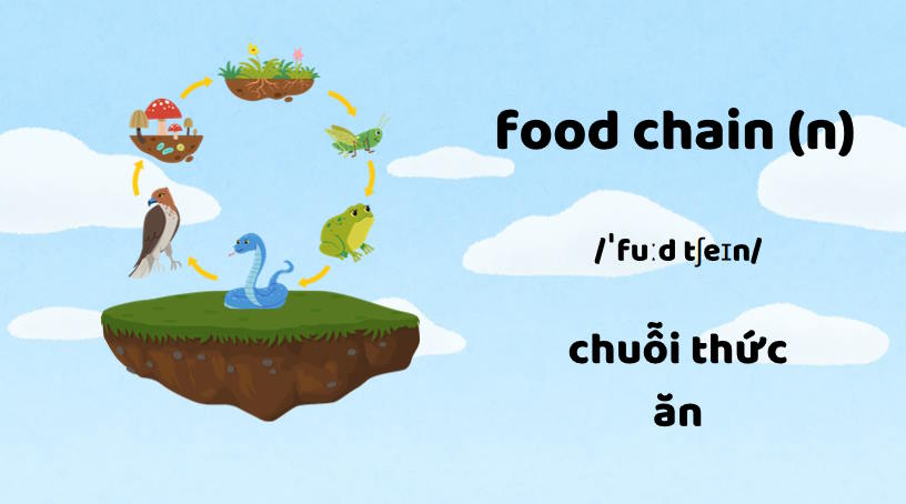 Giáo án Tiếng Anh 9 Unit 10: A Closer Look 1