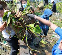 Giáo án Sinh hoạt dưới cờ lớp 12 Xây dựng cộng đồng tuần 18